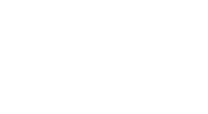 Entries.AI