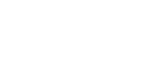 Entries.AI